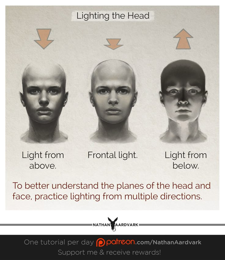 three different types of heads with arrows pointing to the right and left sides, including light from above