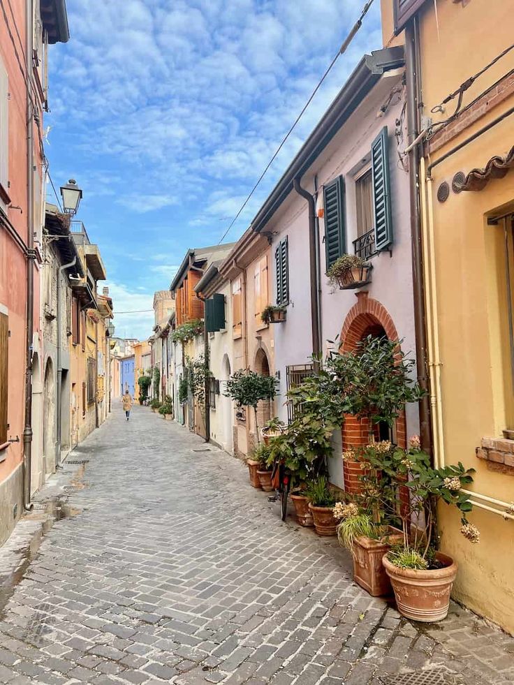 an alley way with potted plants on either side and blue sky in the background