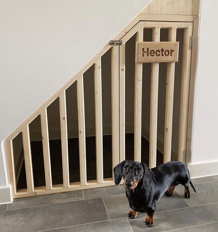 a black and brown dog standing in front of a wooden stair case next to a white wall