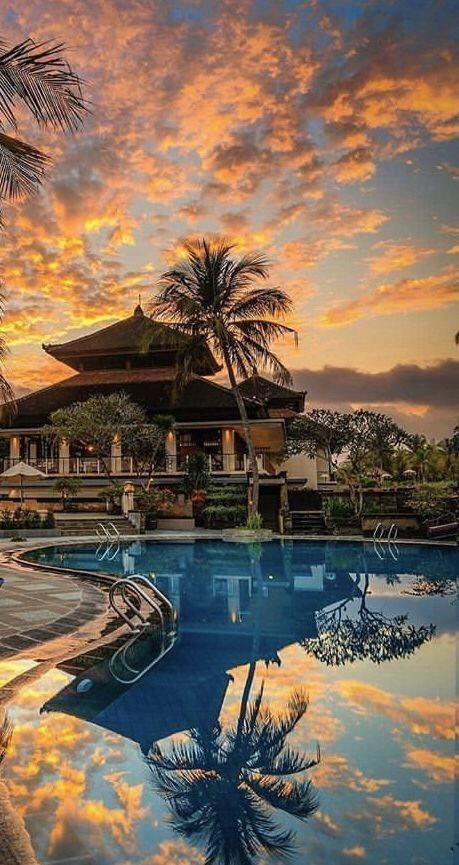 a large swimming pool surrounded by palm trees