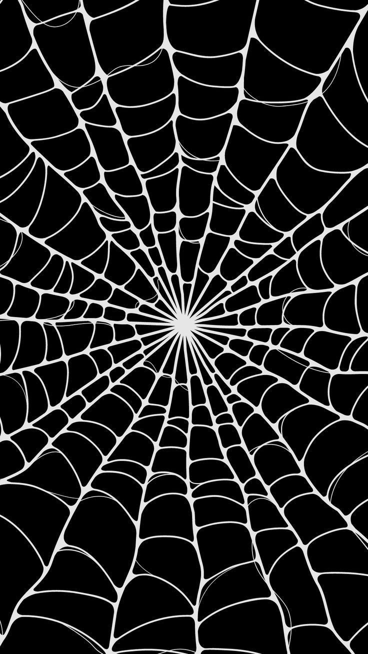 a black and white spider web background