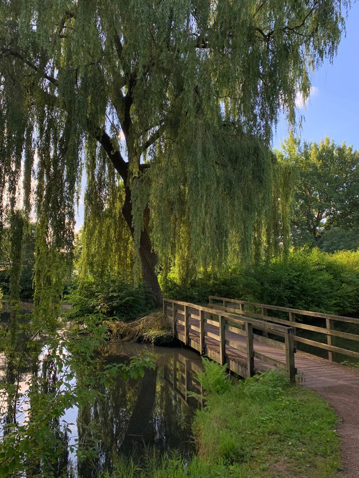 a wooden bridge over a small pond next to a tree