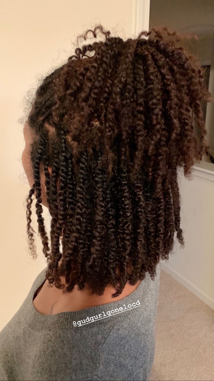 Cabello Afro Natural, Senegalese Twist Braids, Curly Short, Natural Hair Twists, 4c Natural, Twist Braid Hairstyles, Hair Twist Styles, Natural Hair Styles Easy, Penteado Cabelo Curto