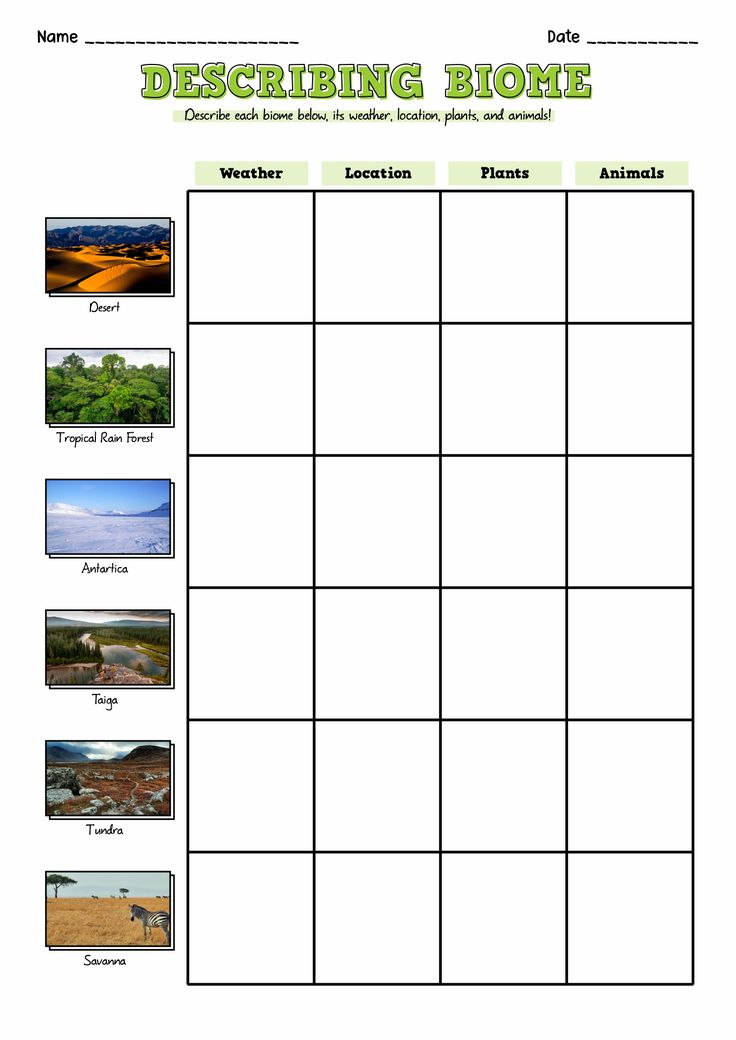 a printable worksheet for describing the different types of plants and animals that live in