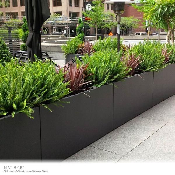 an outdoor planter filled with lots of plants and greenery next to a sidewalk