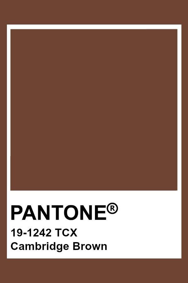 the pantone color is brown and has a white border around it, which reads'19 - 124 tc cambridge brown