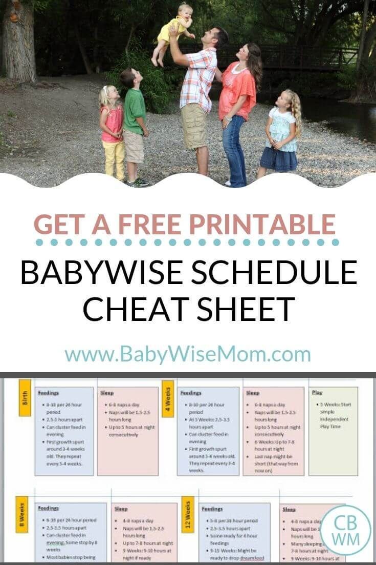 a babywise schedule with the text get a free printable