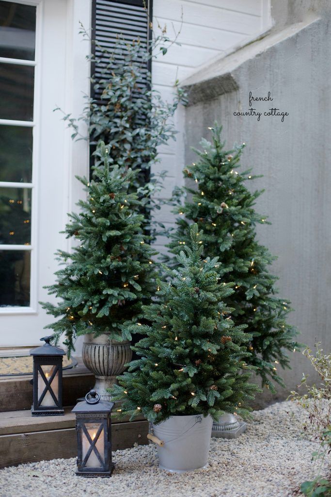 two potted christmas trees in front of a house