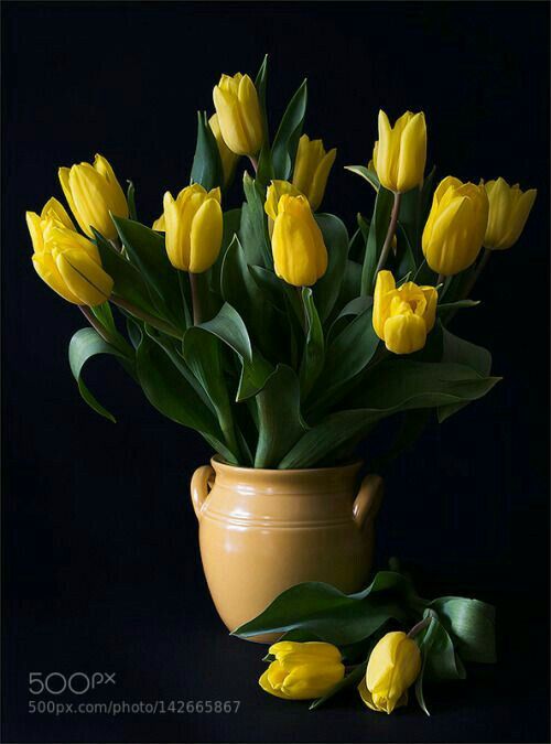 a vase filled with yellow flowers on top of a table