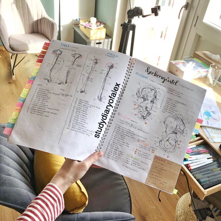 a person sitting on a chair holding up an open book with drawings in the pages