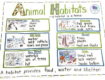 an animal habitat chart with pictures and text