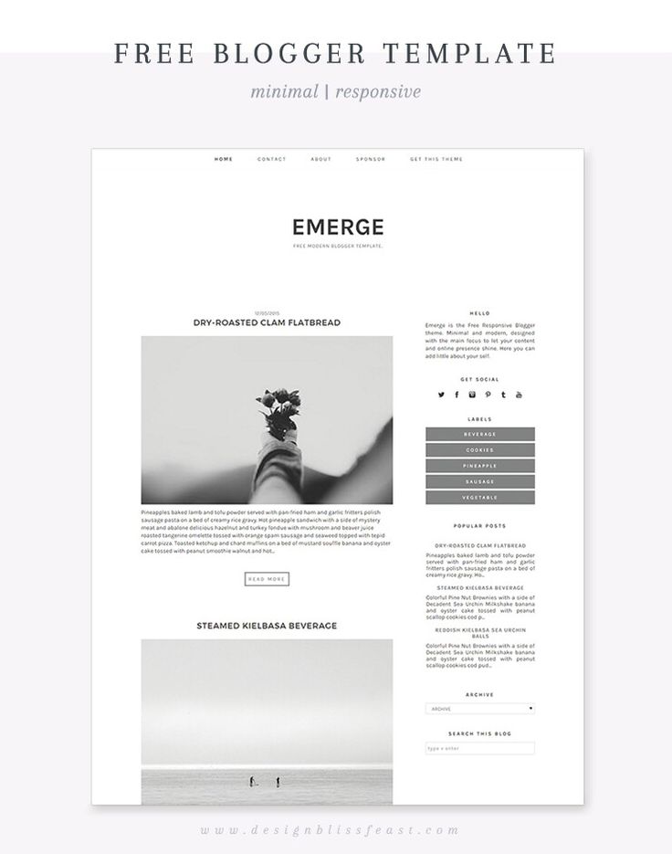 the wordpress theme is clean and modern