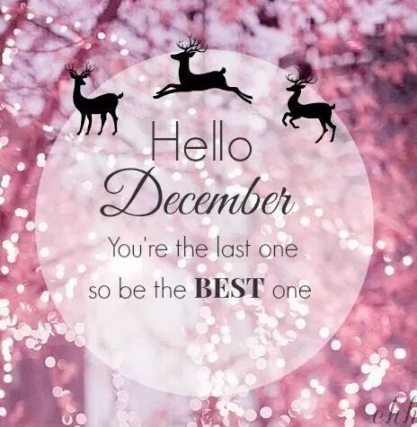 a christmas card with reindeers and the words hello december you're the last one so be the best one