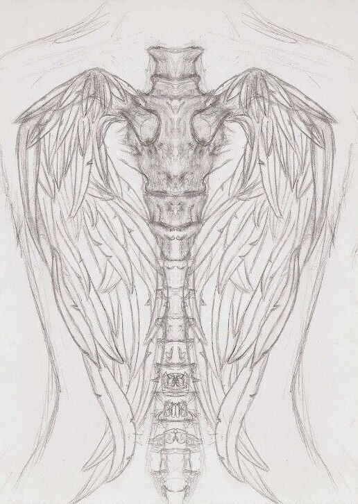 a drawing of an angel's back with wings on the chest and head in the center