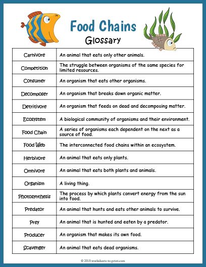 food chains that are used to help students learn how to use them in the classroom