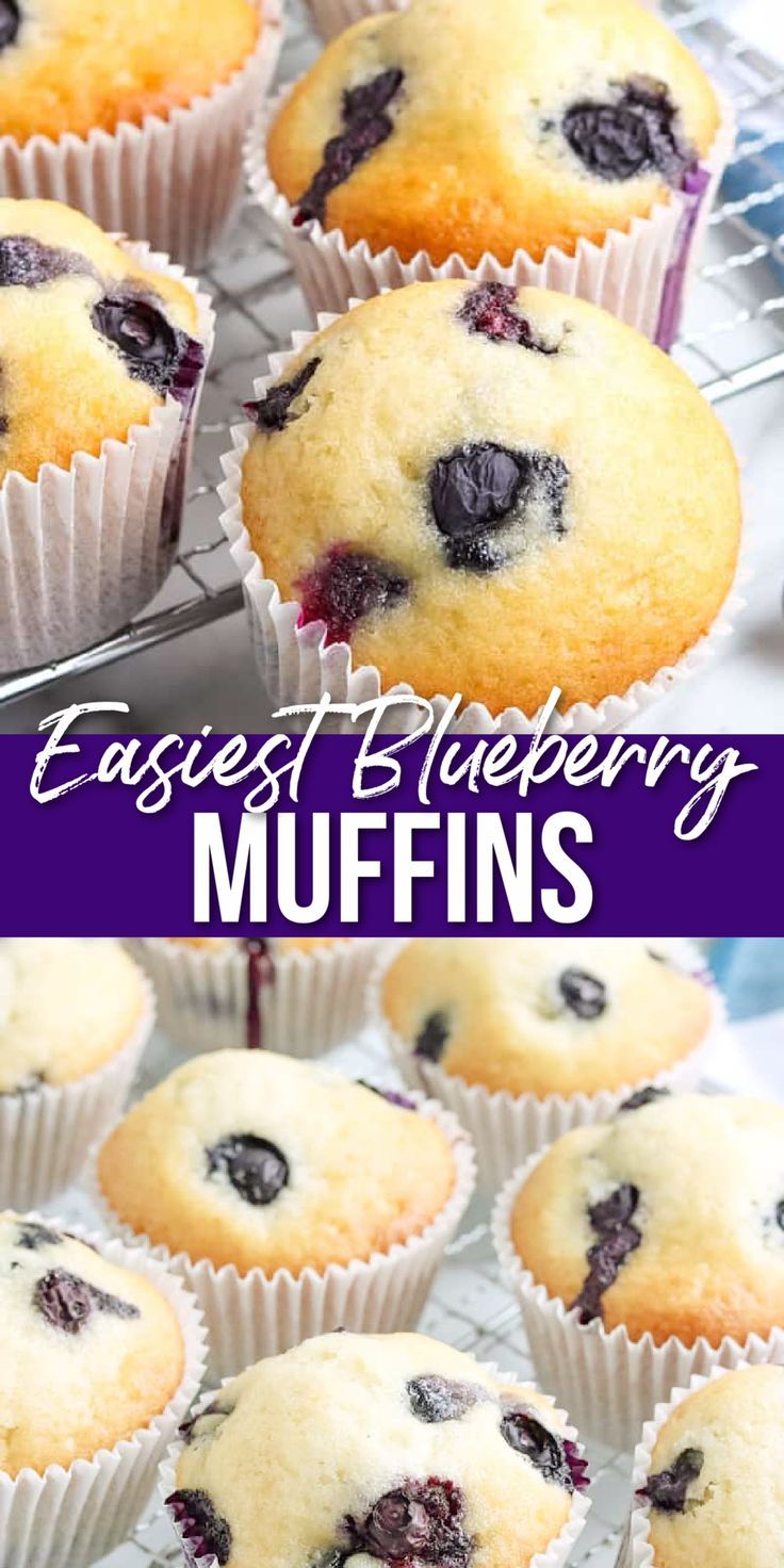 blueberry muffins on a plate Easy Homemade Blueberry Muffins, Frozen Blueberry Muffins, Frozen Blueberry Recipes, Fresh Blueberry Muffins, Moist Blueberry Muffins, Healthy Blueberry Recipes, Fresh Blueberry Recipes, Blueberry Muffin Recipe Easy, Blueberry Muffins Recipe