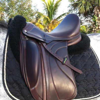 a close up of a horse saddle with trees in the backgrouds and palm trees in the background