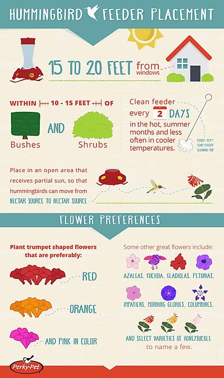 the different types of flowers are shown in this info sheet, which includes information on how to use them