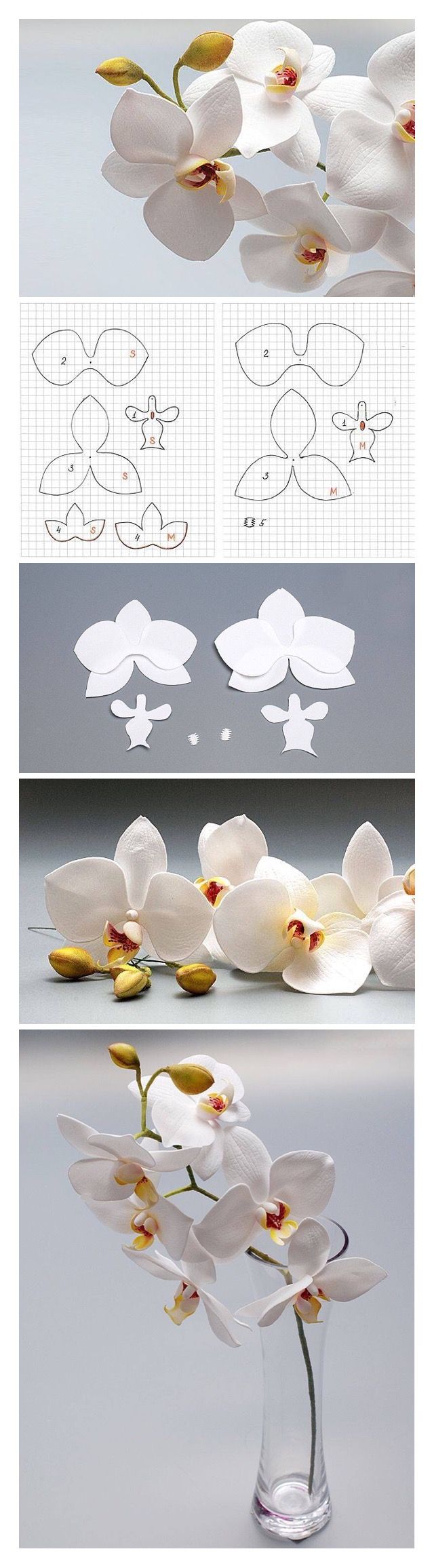 three different images of flowers in vases with the same color and size as they appear to be cut out