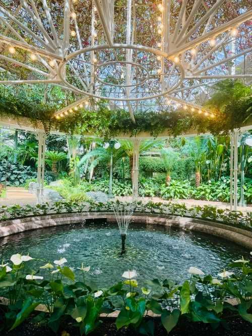 the inside of a greenhouse with lots of plants and lights hanging from it's ceiling