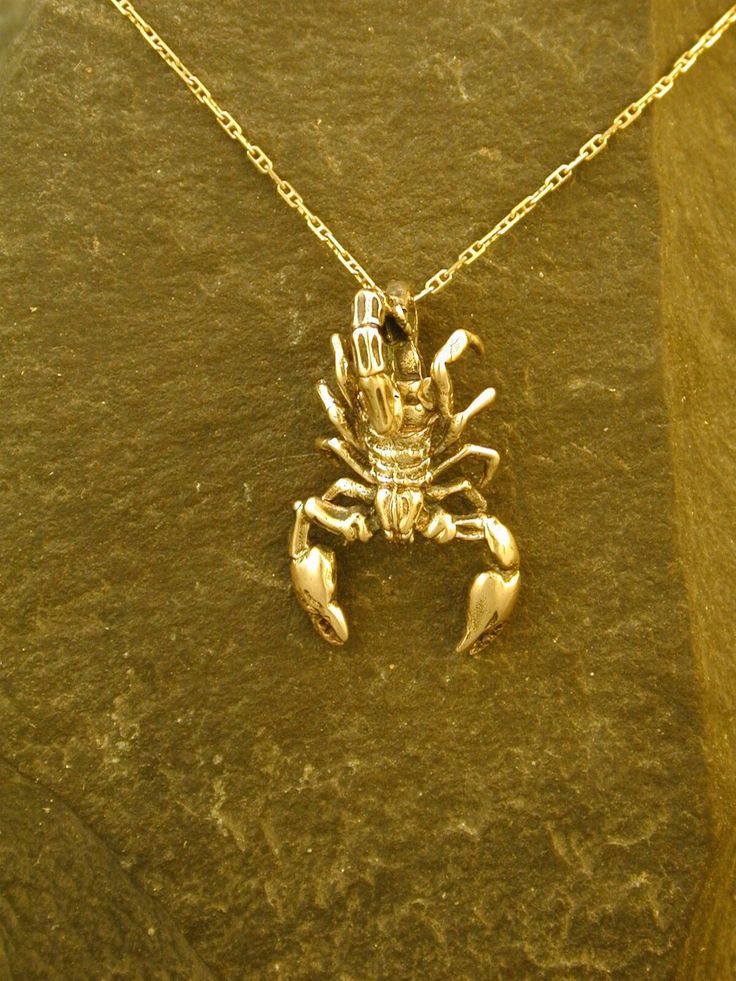 "This solid 3 Dimensional Scorpio pendant is 14K Gold. The included chain is a 14K Gold chain. You may choose 16, 18 or 20 inch at the same price. Other length available at sightly higher prices. This Scorpio pendant measures 1 1/4\" long by 7/8\" across. I hand cast all my pieces using the lost wax casting method. Please ask your needs. You may call me with questions, often I am out so please use my machine. 831-476-3176. Satisfaction Guaranteed! I send items USPS First Class unless otherwise d Scorpio Pendant, Zodiac Necklace Scorpio, Cows Milk, Jellyfish Pendant, Scorpio Necklace, Skeleton Earrings, Constellation Necklace, Wax Casting, Zodiac Jewelry