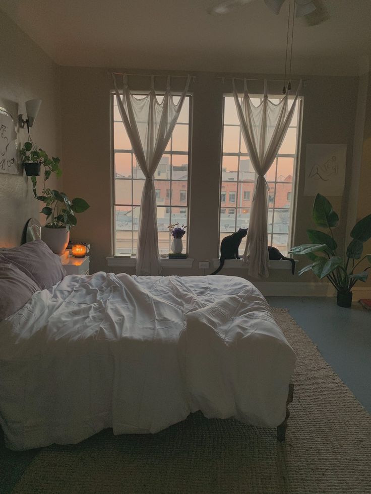 a bedroom with two large windows and a cat on the window sill