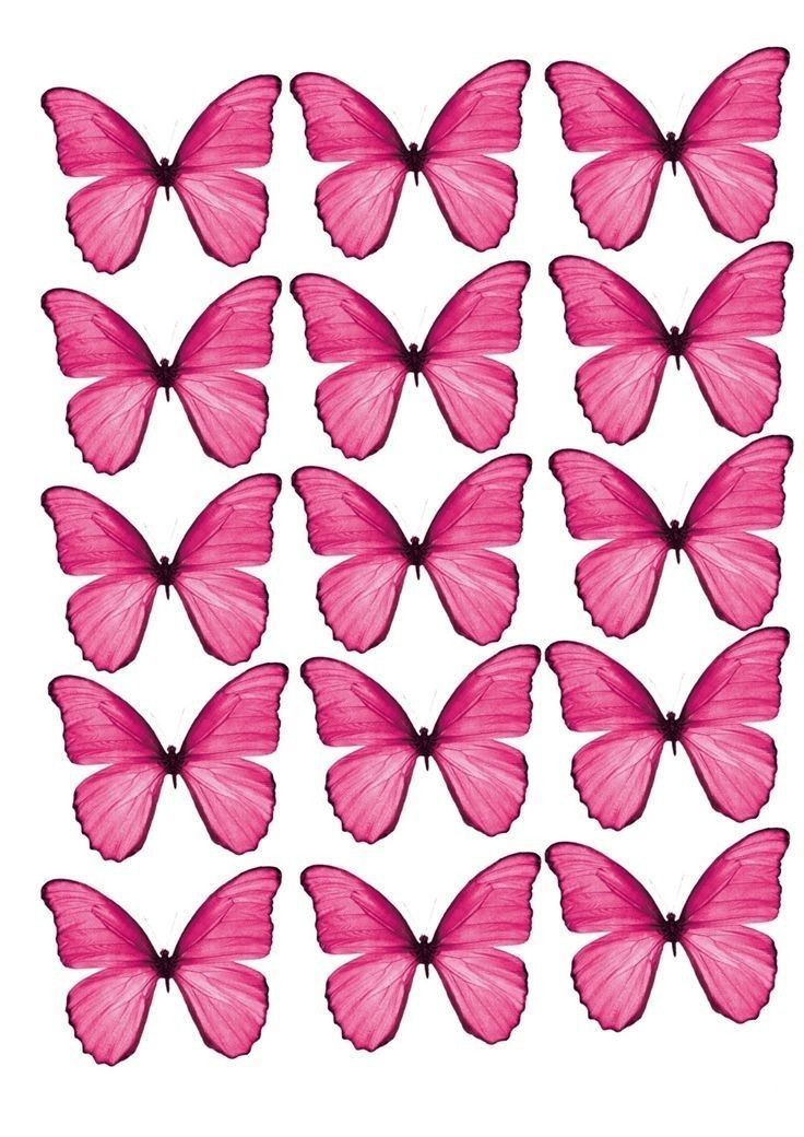 pink butterflies are arranged in rows on a white background