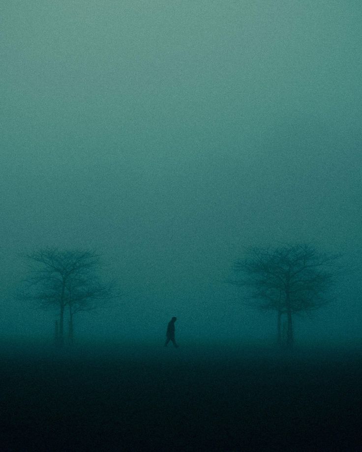 a person walking through a foggy field with trees