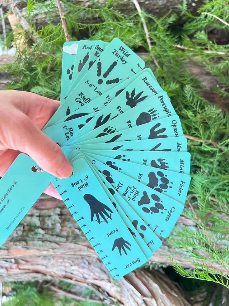 a person holding up several blue cards with hand prints on them and trees in the background