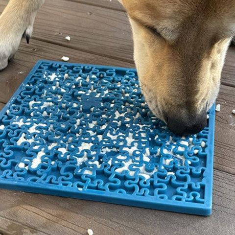 a dog is eating something out of a blue mat on the ground with it's paws