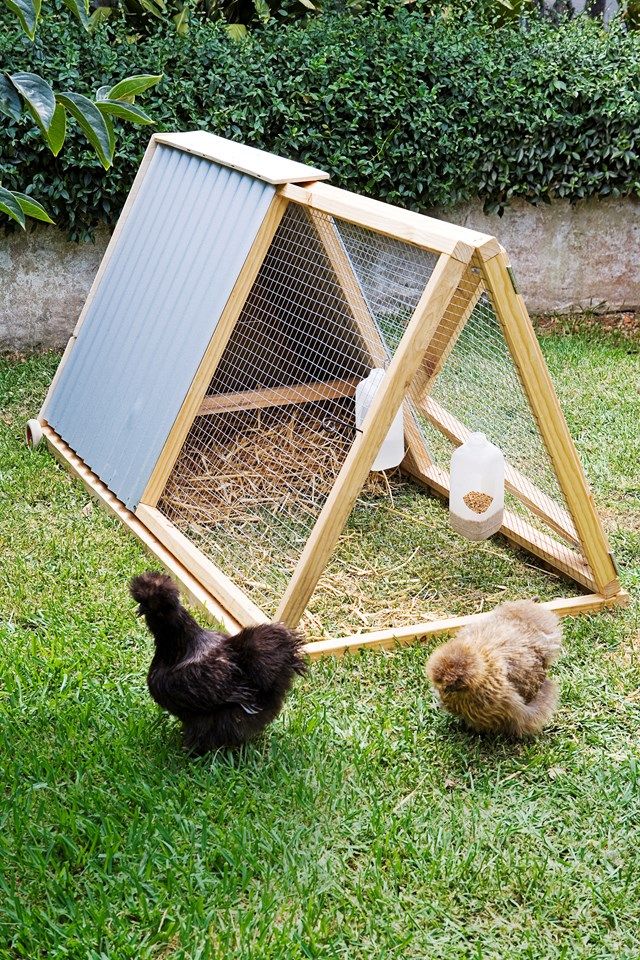 two chickens are in the grass next to a chicken coop