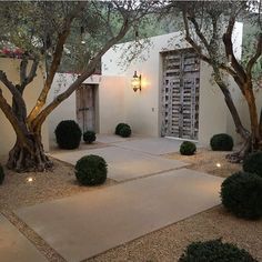 an outdoor courtyard with trees and lights