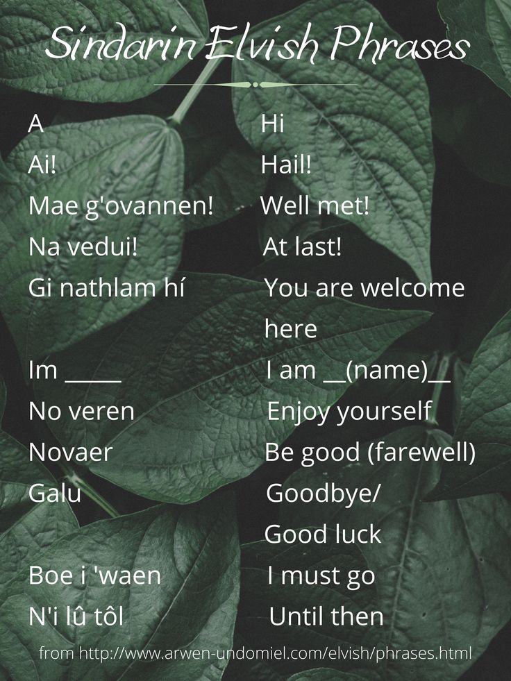 a green leafy plant with words written on it