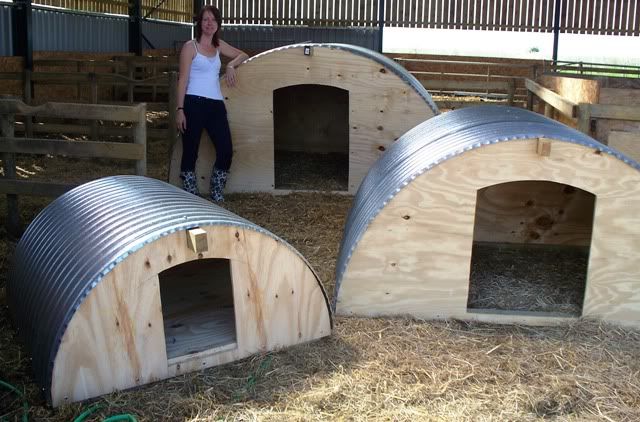 a woman standing next to three wooden dog houses made out of metal tubes and plywood