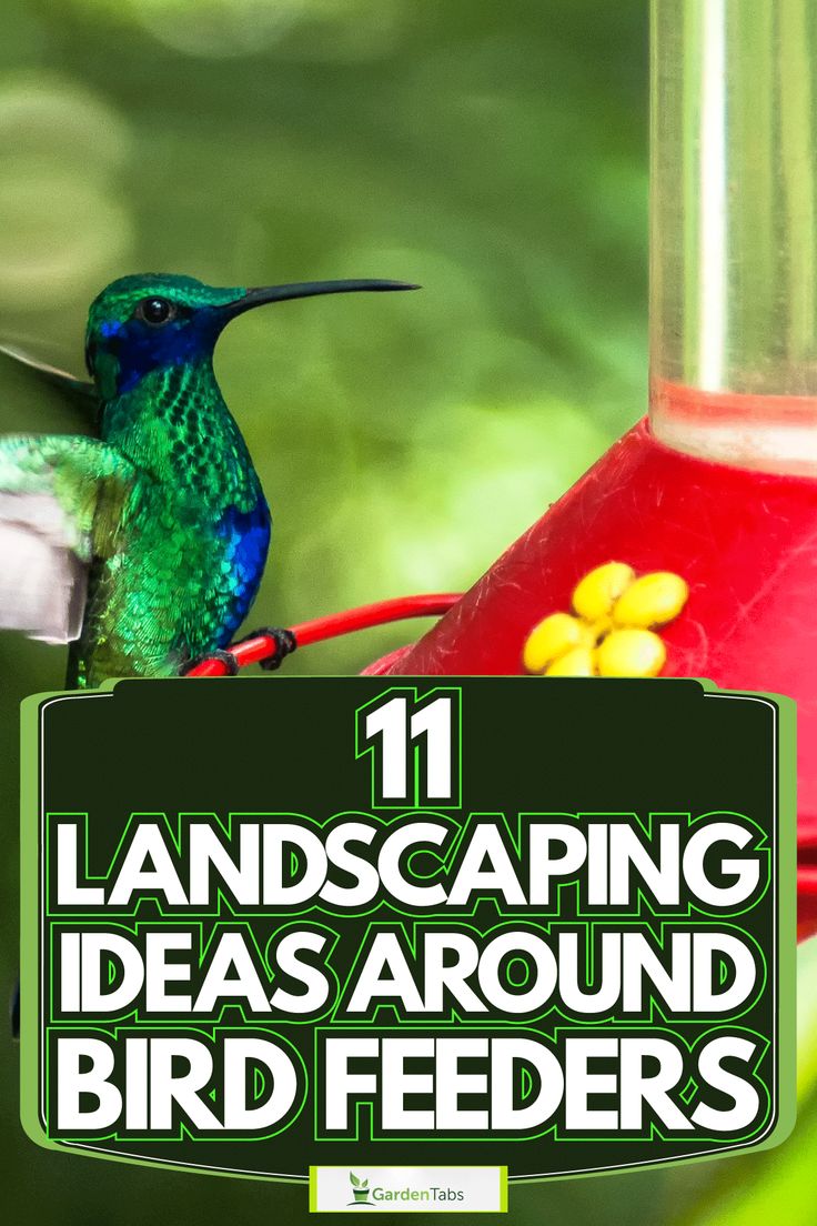 a hummingbird sitting on top of a bird feeder with the words 11 landscaping ideas around bird feeders