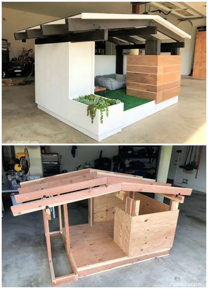 two pictures side by side showing the inside and outside of a shed with plants growing out of it