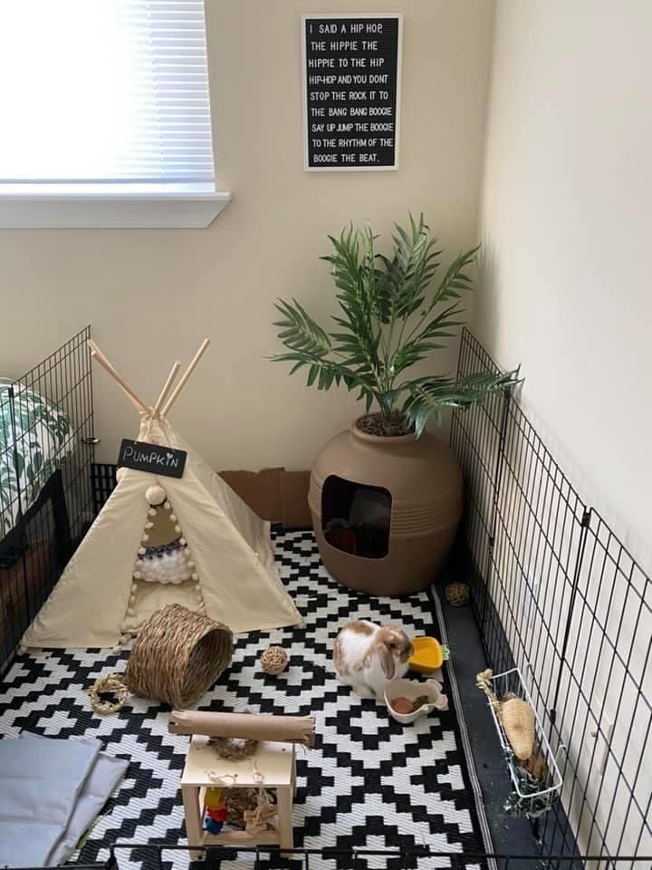 a small room with a teepee tent and toys