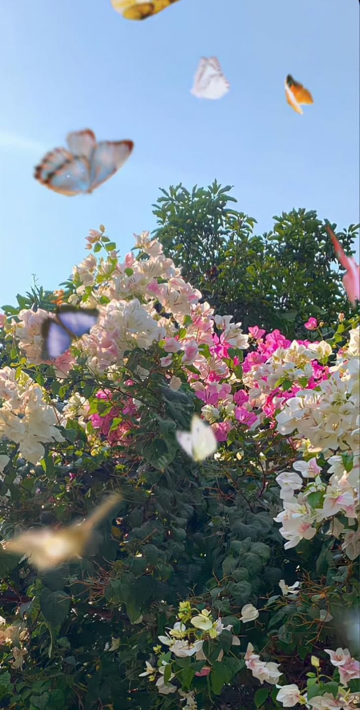 several butterflies flying over flowers and trees