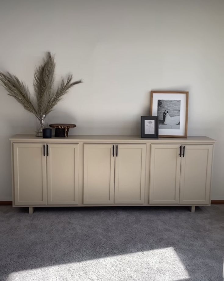 an empty room with a plant and pictures on the sideboard, in front of a white wall