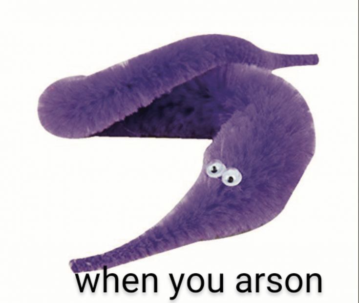 an image of a purple worm with eyes on it's back and the words, when you arson