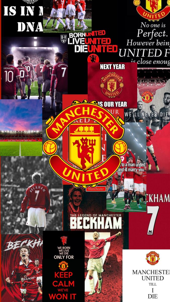 the manchester united team collage