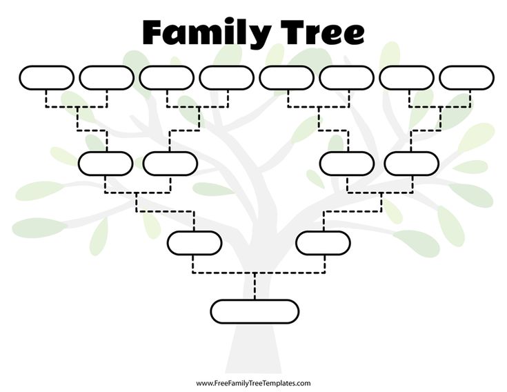 the family tree is shown in black and white, with lines drawn across it to indicate where they are