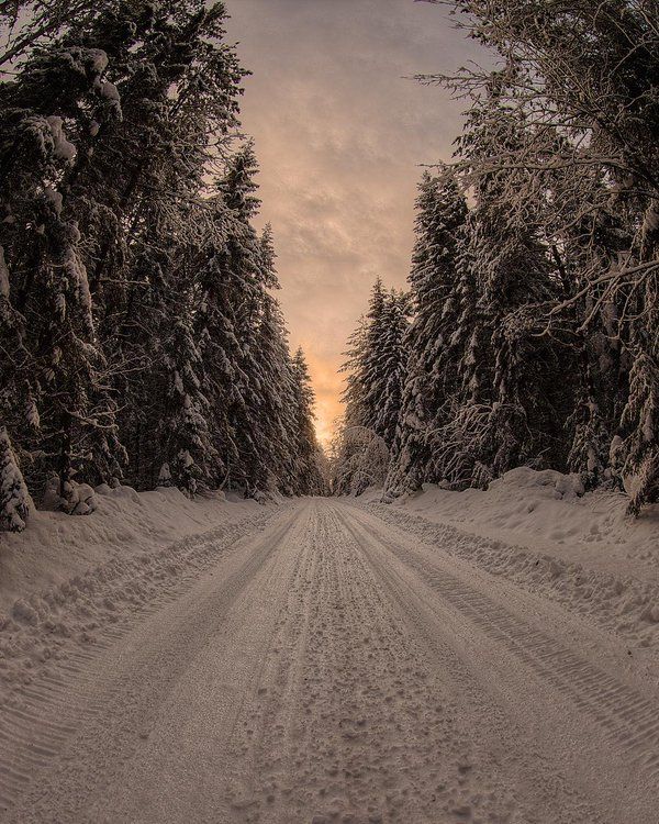 a snow covered road surrounded by trees with the sun setting in the distance behind it