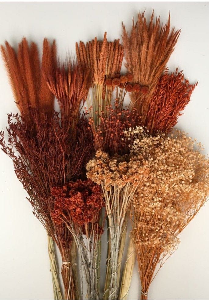 dried flowers are arranged in an arrangement against a white background