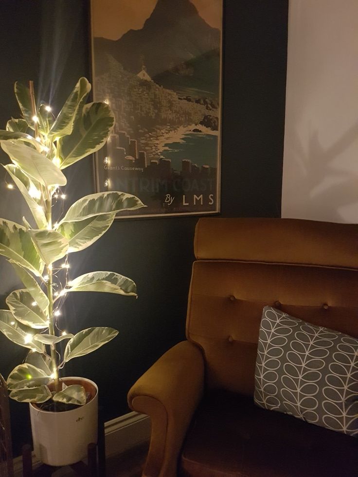 a living room with a couch, chair and potted plant