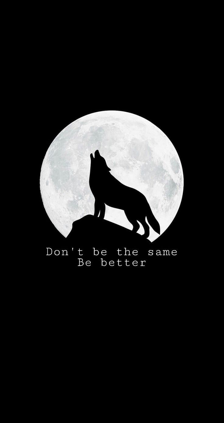 a wolf standing on top of a hill in front of a full moon with the words don't be the same, be better