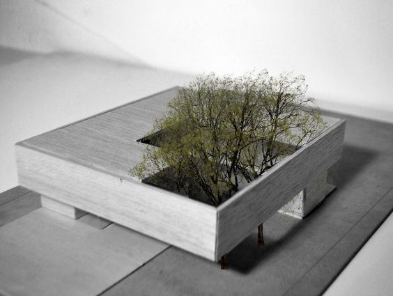 a small tree is growing out of the top of a building that's made from concrete