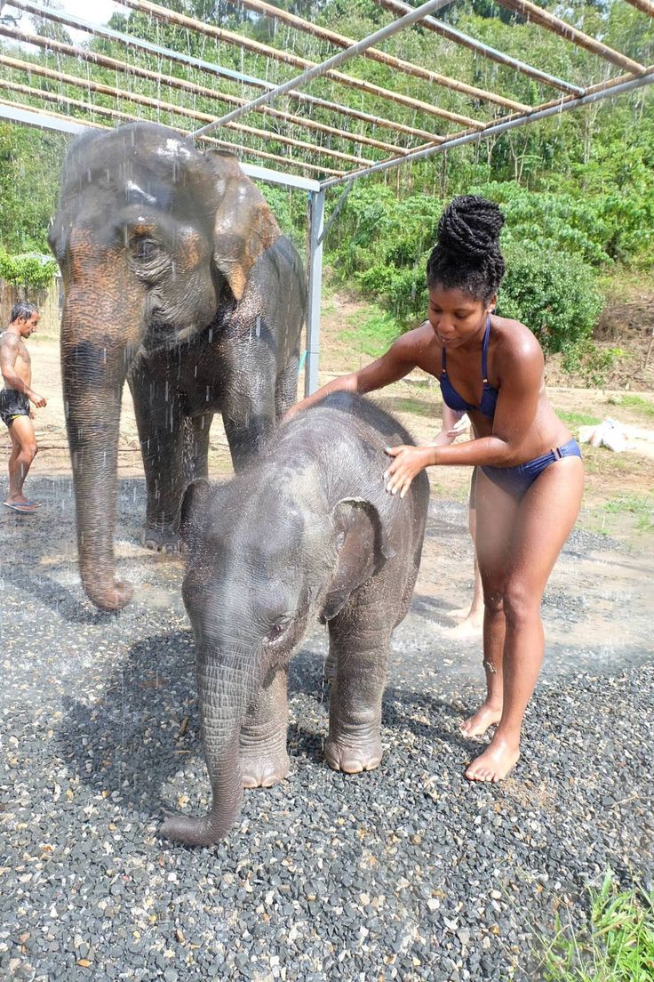 a woman in a bathing suit washing an elephant