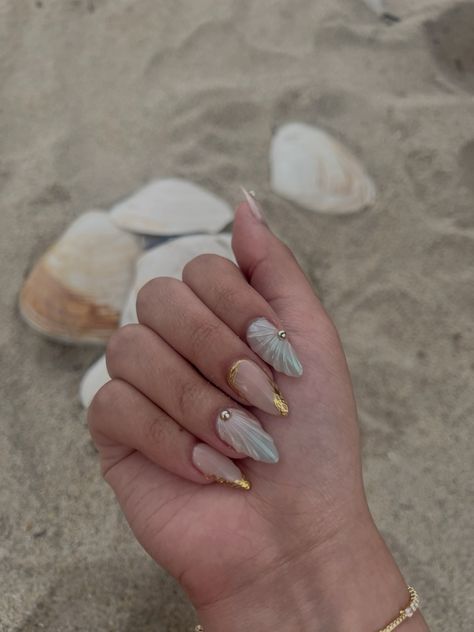 Nail Designs Summer Beach, Hawaii Nails, Seashell Nails, Beach Seashells, Beach Nail Art, Elegant Nail Designs, Classy Nail Designs, Classy Acrylic Nails, Nails Tumblr