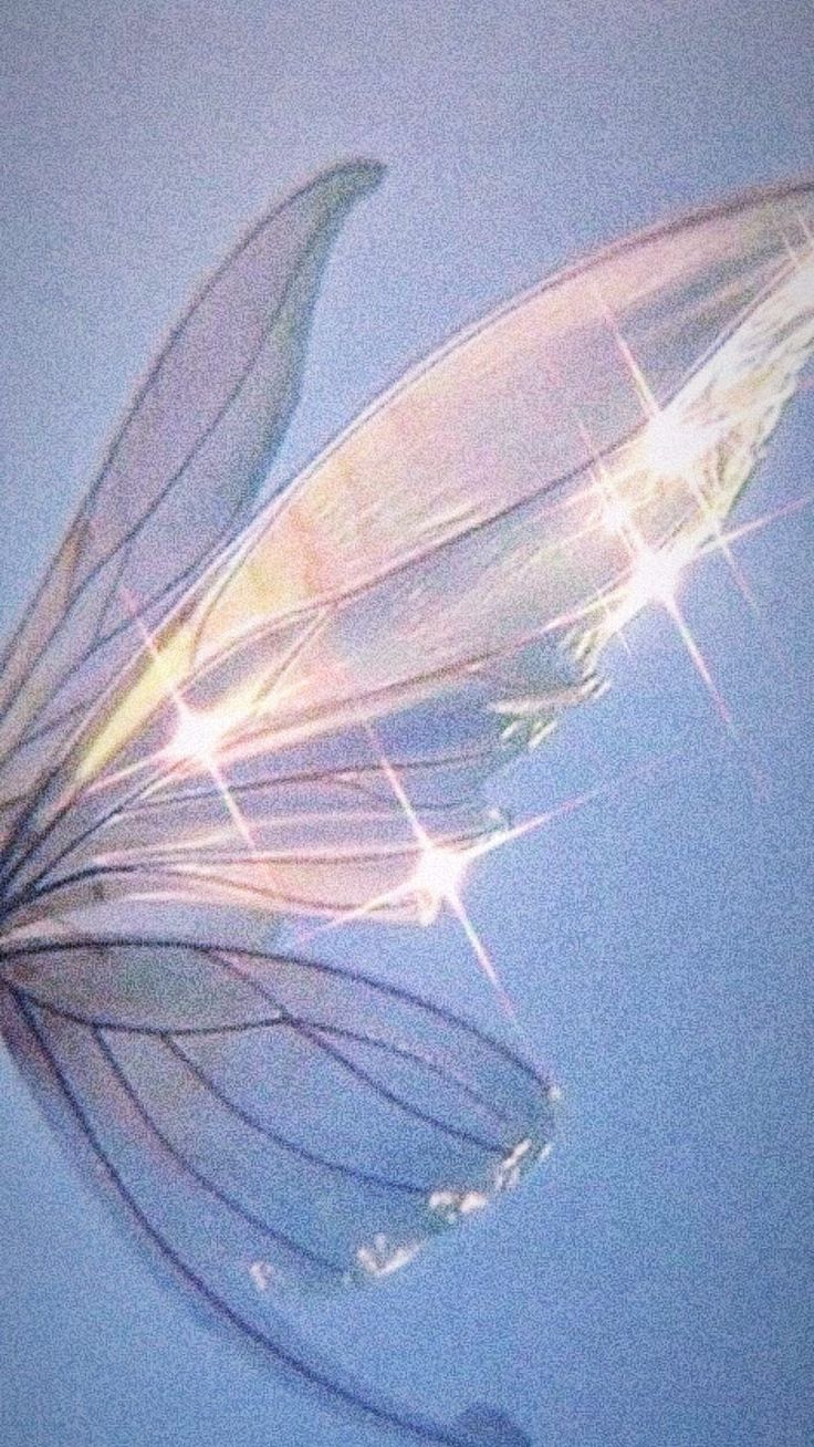 a close up view of an insect's wing with light shining on the wings